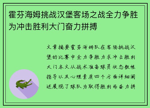 霍芬海姆挑战汉堡客场之战全力争胜为冲击胜利大门奋力拼搏