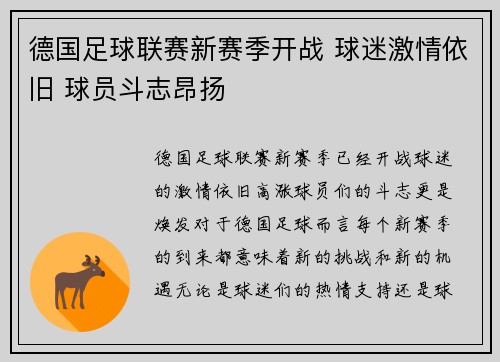 德国足球联赛新赛季开战 球迷激情依旧 球员斗志昂扬